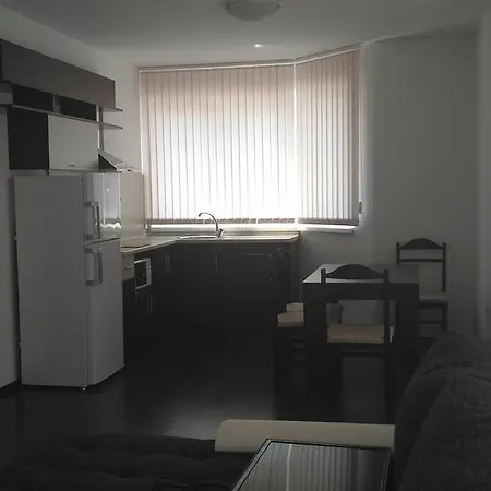Salena In Sunny Dreams Apartment *